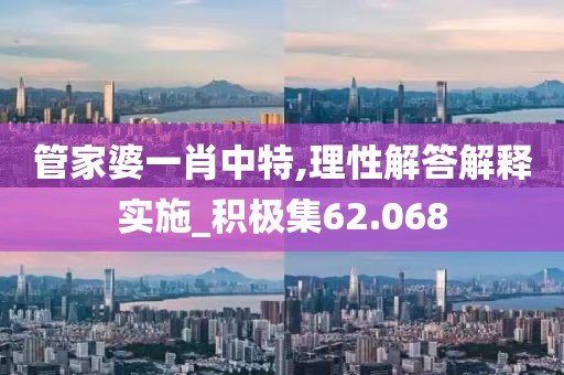 管家婆一肖中特,理性解答解釋實施_積極集62.068