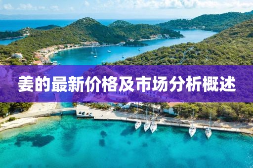 姜的最新價(jià)格及市場(chǎng)分析概述