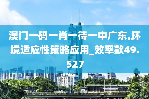 澳門一碼一肖一待一中廣東,環(huán)境適應(yīng)性策略應(yīng)用_效率款49.527