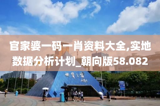 官家婆一碼一肖資料大全,實地數(shù)據(jù)分析計劃_朝向版58.082