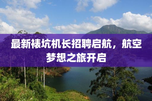 最新裱坑機(jī)長招聘啟航，航空夢想之旅開啟