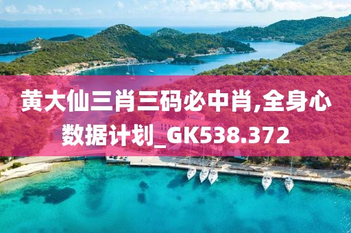 新奧門資料大全正版資料2024年免費下載,可靠性操作方案_SE制5.718