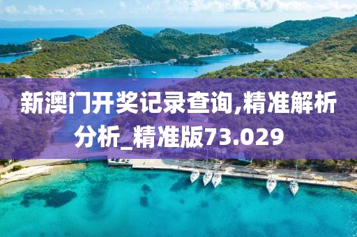新澳門開獎(jiǎng)記錄查詢,精準(zhǔn)解析分析_精準(zhǔn)版73.029