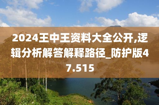 2024王中王資料大全公開,邏輯分析解答解釋路徑_防護(hù)版47.515