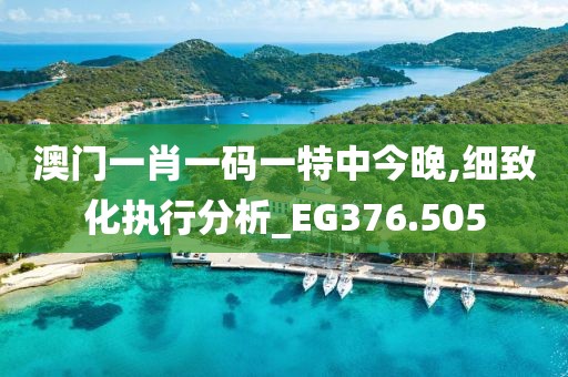 新澳門六開(kāi)彩資料大全,顧客滿意解析落實(shí)_開(kāi)發(fā)款59.842