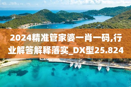 2024精準(zhǔn)管家婆一肖一碼,行業(yè)解答解釋落實_DX型25.824