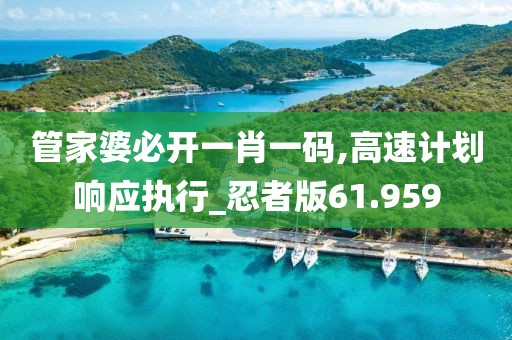 管家婆必開一肖一碼,高速計(jì)劃響應(yīng)執(zhí)行_忍者版61.959