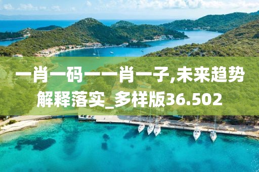 一肖一碼一一肖一子,未來趨勢解釋落實_多樣版36.502