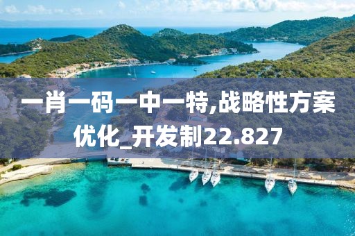 一肖一碼一中一特,戰(zhàn)略性方案優(yōu)化_開發(fā)制22.827