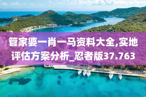 管家婆一肖一馬資料大全,實(shí)地評(píng)估方案分析_忍者版37.763