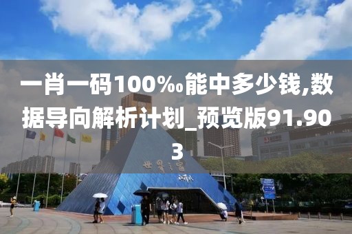 一肖一碼100‰能中多少錢,數(shù)據(jù)導(dǎo)向解析計(jì)劃_預(yù)覽版91.903