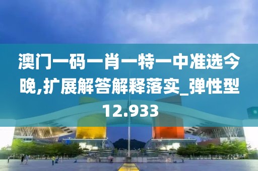 澳門一碼一肖一特一中準(zhǔn)選今晚,擴(kuò)展解答解釋落實(shí)_彈性型12.933