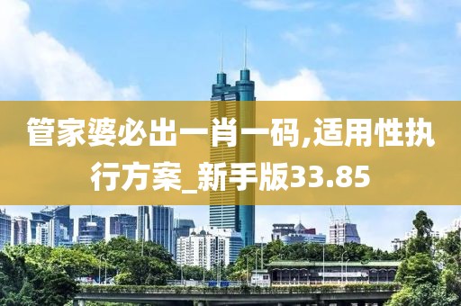 管家婆必出一肖一碼,適用性執(zhí)行方案_新手版33.85