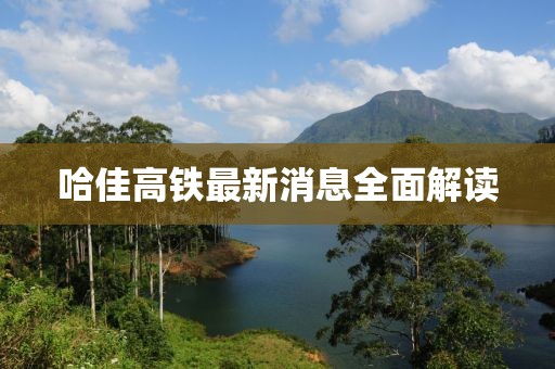 哈佳高鐵最新消息全面解讀