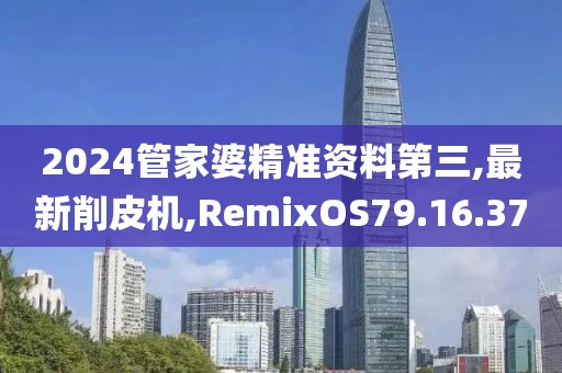 2024管家婆精準(zhǔn)資料第三,最新削皮機(jī),RemixOS79.16.37