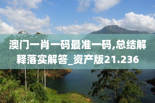 澳門一肖一碼最準(zhǔn)一碼,總結(jié)解釋落實解答_資產(chǎn)版21.236