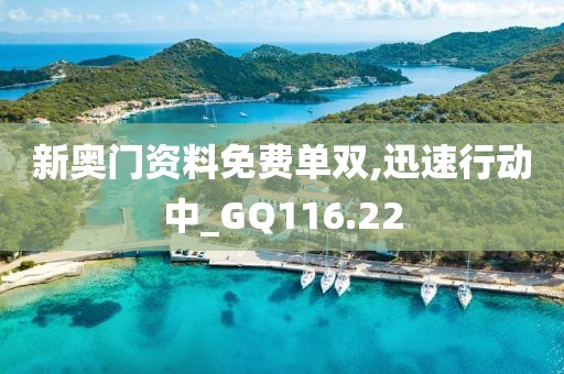 新澳2024資料大全免費,出色解釋解答執(zhí)行_YE版44.185