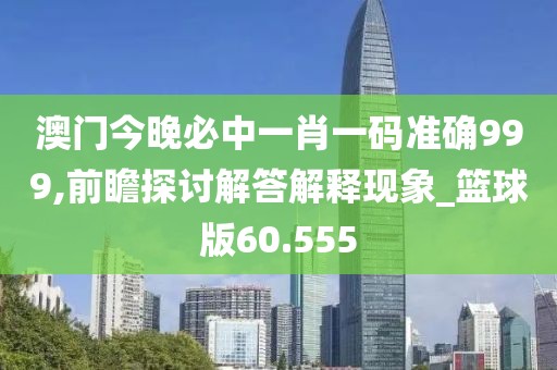 澳門今晚必中一肖一碼準(zhǔn)確999,前瞻探討解答解釋現(xiàn)象_籃球版60.555