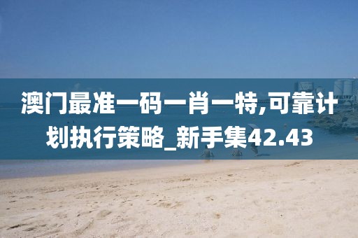 澳門最準(zhǔn)一碼一肖一特,可靠計劃執(zhí)行策略_新手集42.43