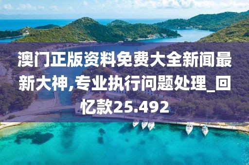澳門正版資料免費大全新聞最新大神,專業(yè)執(zhí)行問題處理_回憶款25.492