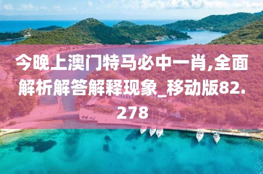今晚上澳門特馬必中一肖,全面解析解答解釋現(xiàn)象_移動版82.278