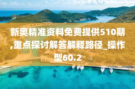 新奧精準(zhǔn)資料免費(fèi)提供510期,重點(diǎn)探討解答解釋路徑_操作型60.2