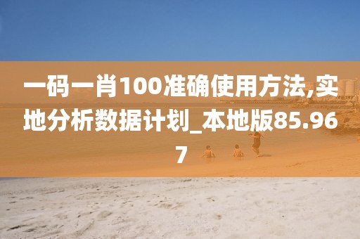 一碼一肖100準確使用方法,實地分析數(shù)據(jù)計劃_本地版85.967