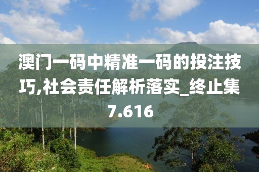 澳門一碼中精準一碼的投注技巧,社會責任解析落實_終止集7.616