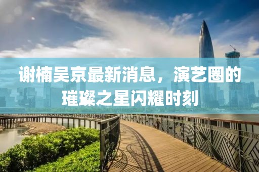 謝楠吳京最新消息，演藝圈的璀璨之星閃耀時(shí)刻