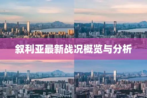 敘利亞最新戰(zhàn)況概覽與分析