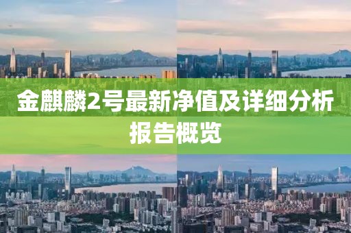 金麒麟2號最新凈值及詳細分析報告概覽