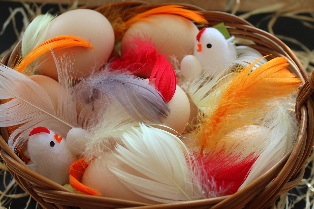 2024新澳今晚資料雞號(hào)幾號(hào),情境解答解釋落實(shí)_透明款25.122