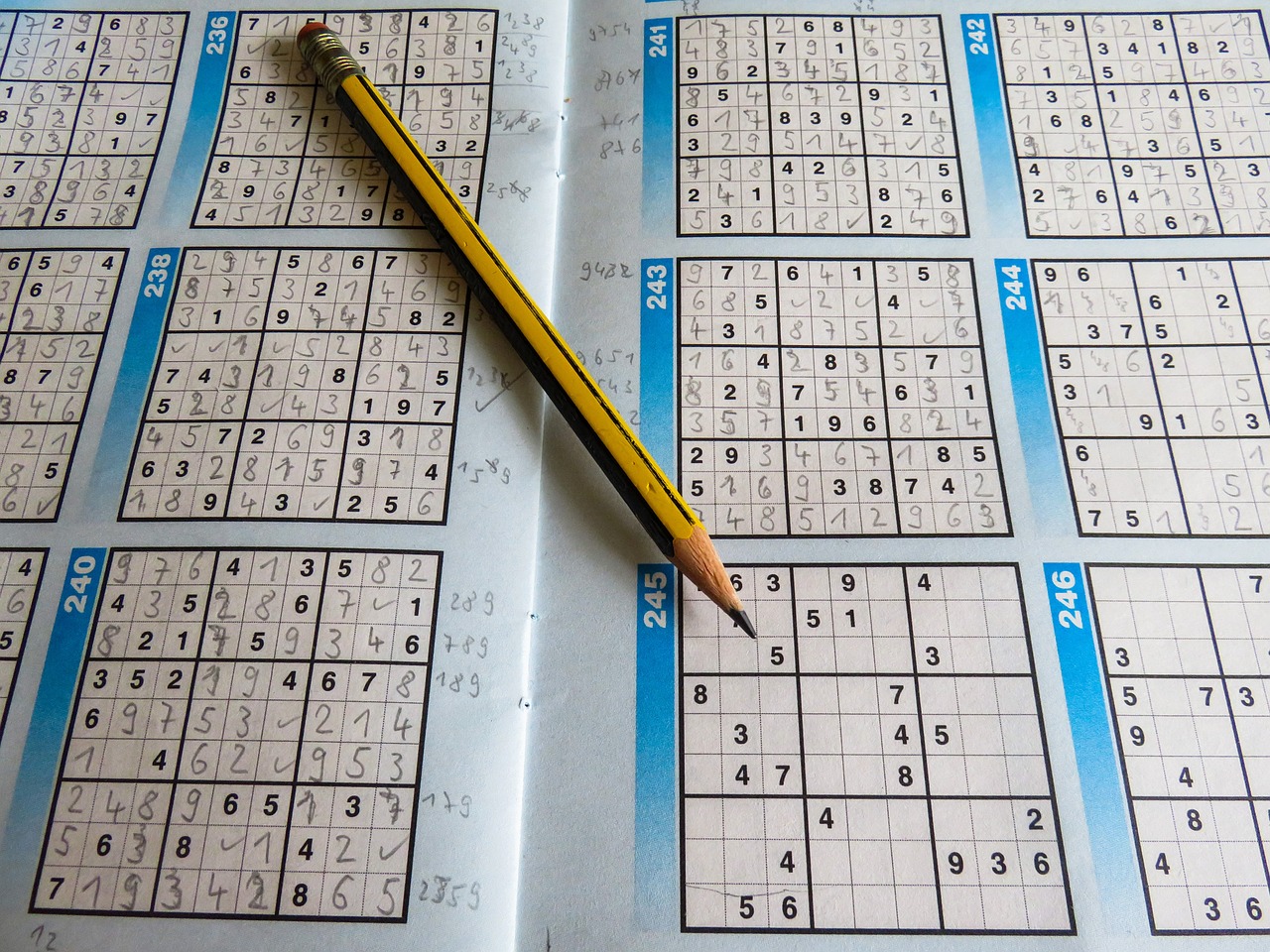 澳門開獎(jiǎng)結(jié)果+開獎(jiǎng)記錄表生肖,高效計(jì)劃應(yīng)用解釋解答_個(gè)體集89.443