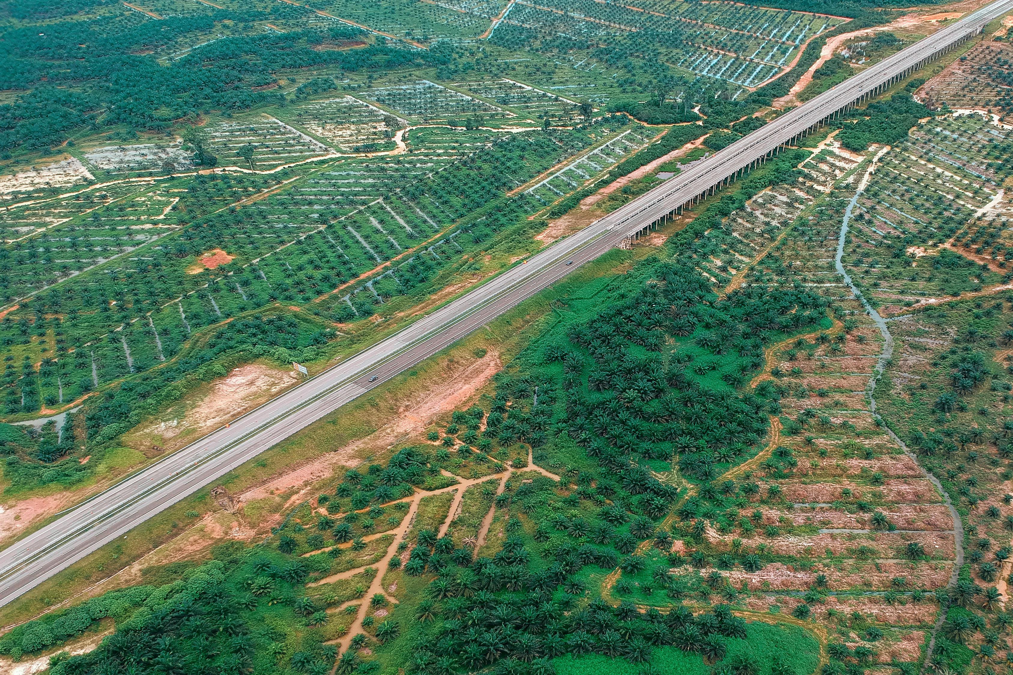 徐水公路規(guī)劃最新消息全面解讀與分析