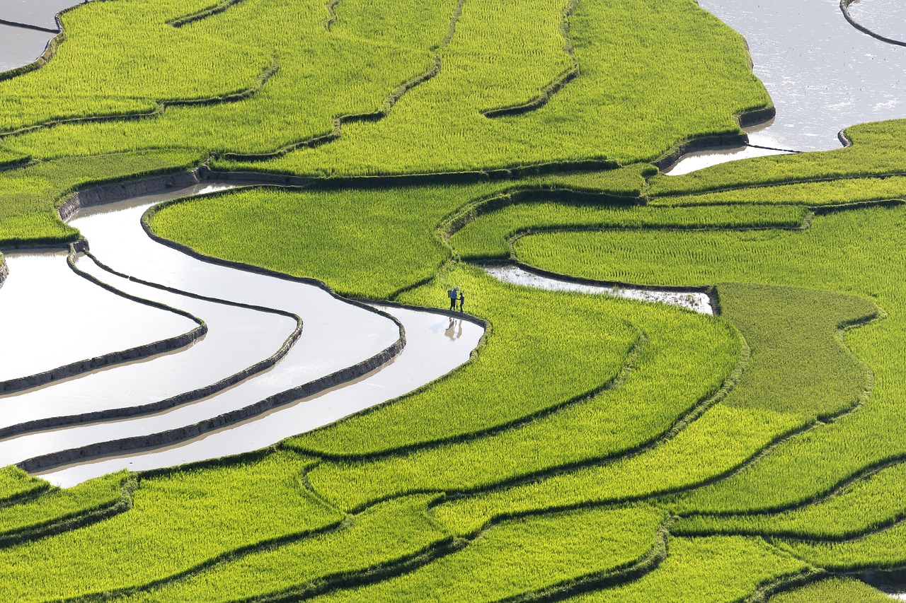 諸神之戰(zhàn)最新動(dòng)態(tài)，奇幻之旅探索未知領(lǐng)域