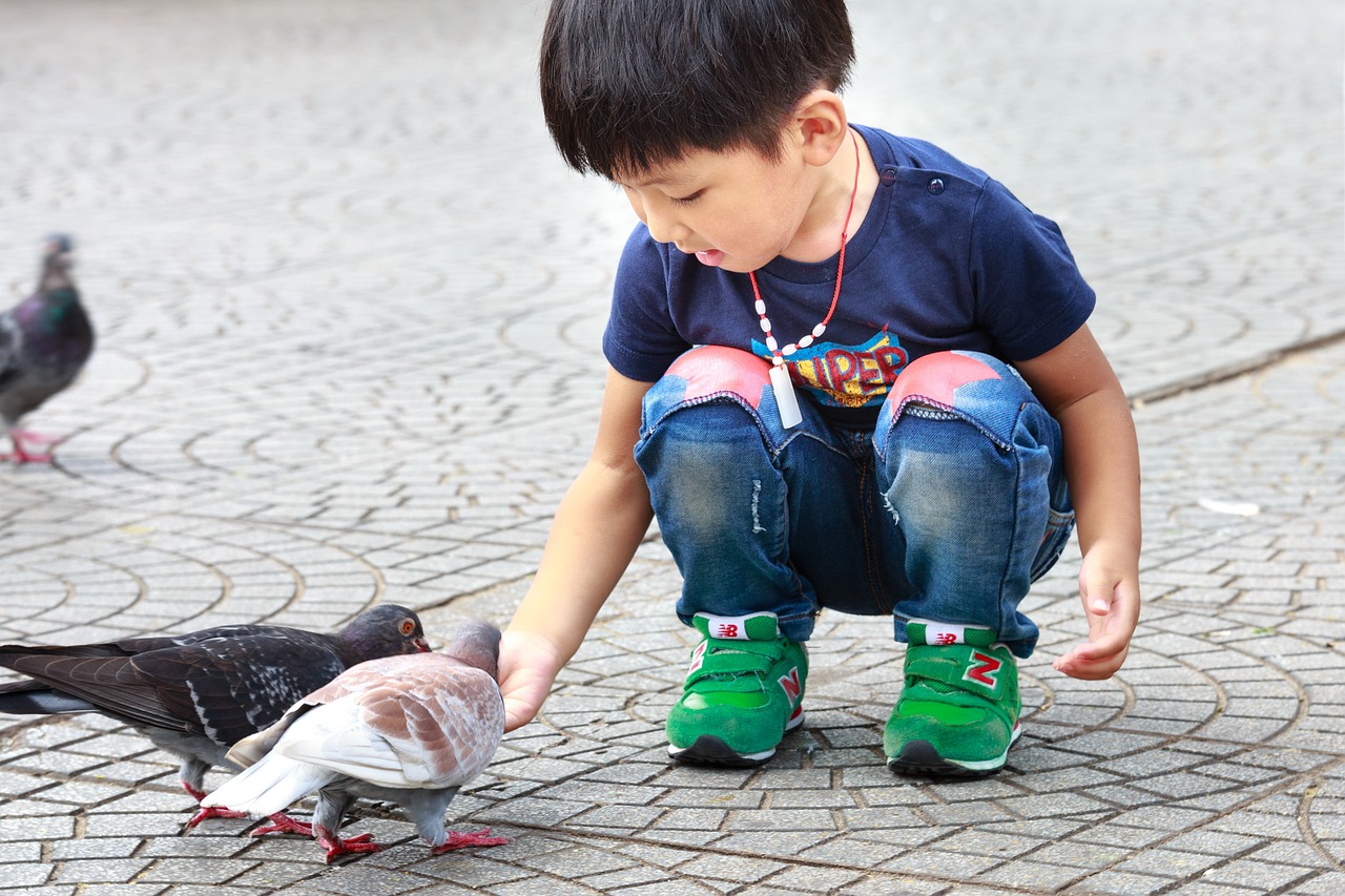 探索幼兒無限潛力，最新夸贊幼兒的表現(xiàn)與成長(zhǎng)