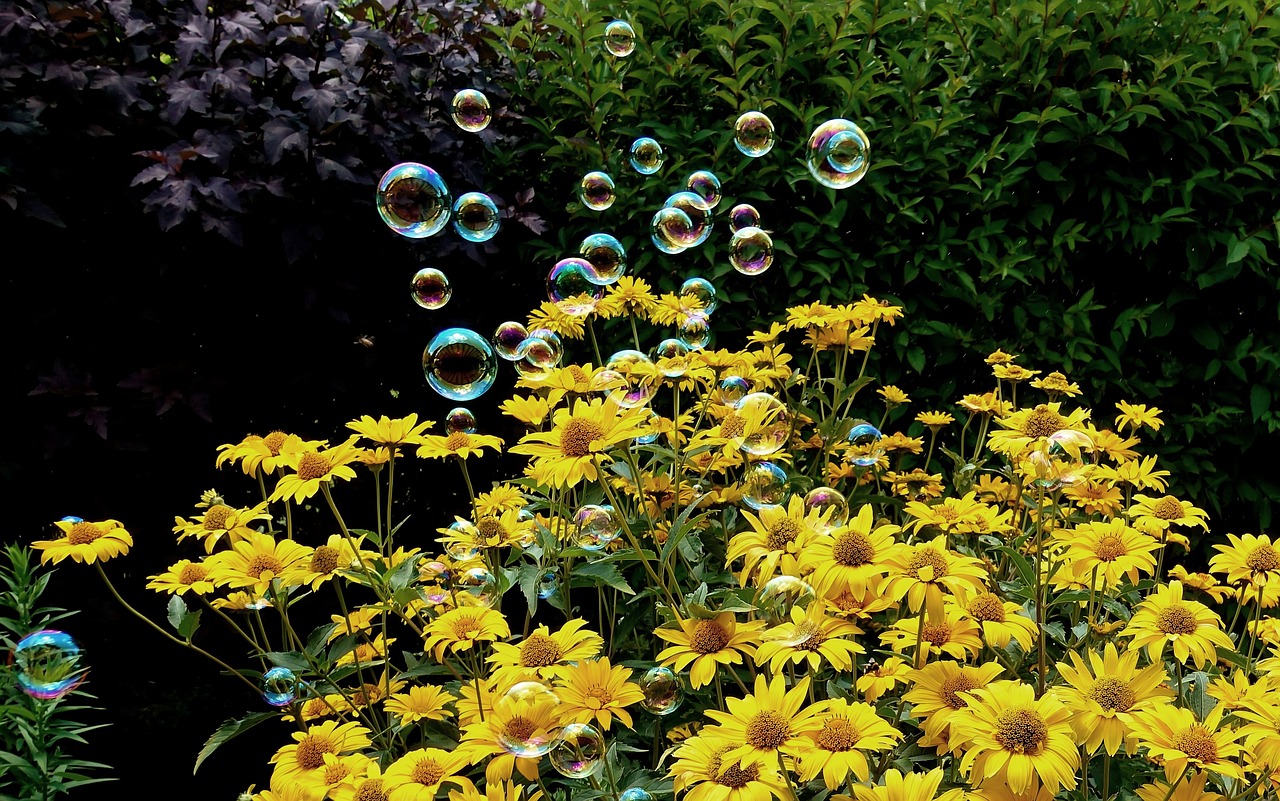 銀豐公館最新動(dòng)態(tài)解析，最新消息一覽