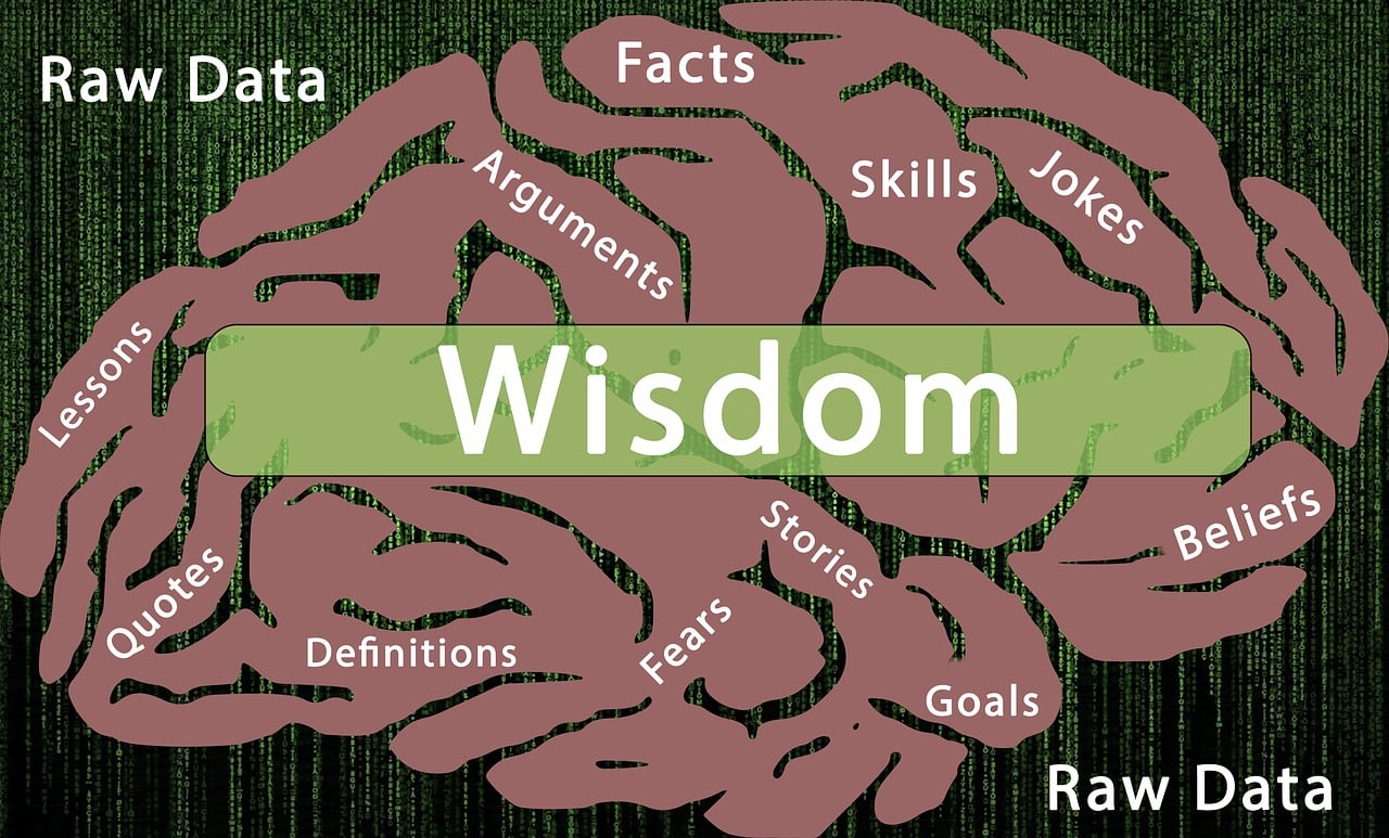 最新經(jīng)典人與動物和諧相處，故事與啟示的啟示