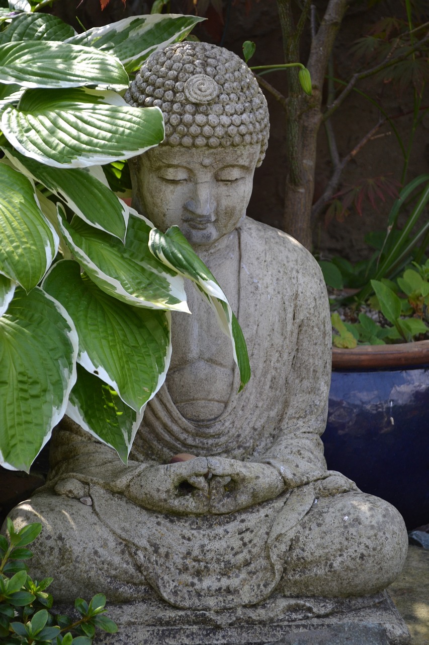 每日一禪美文，探索內(nèi)心的寧?kù)o與智慧