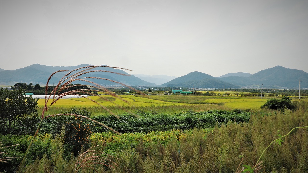 翠金湖美墅島，生態(tài)宜居新篇章啟動(dòng)，最新消息一覽