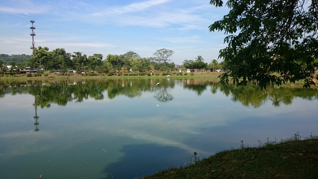 汕頭市鳳凰城最新動(dòng)態(tài)全面解讀