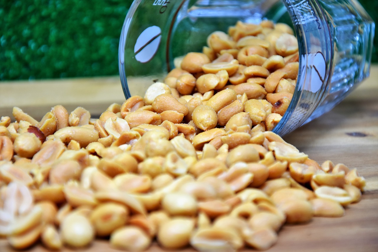 魚化工業(yè)園最新動態(tài)，區(qū)域發(fā)展與創(chuàng)新驅(qū)動的嶄新篇章